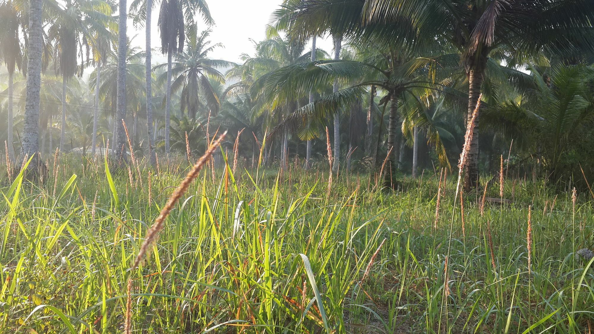 ホテル Baan Phuean Koh Kood Ko Kut エクステリア 写真